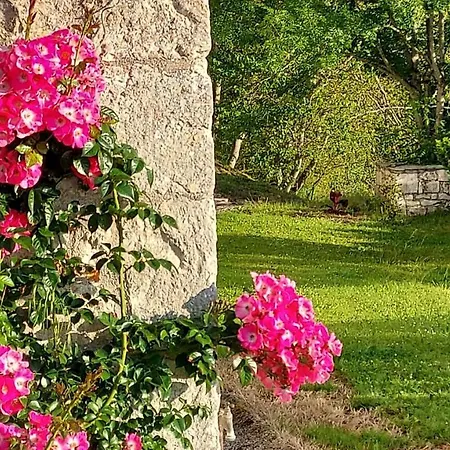 Le Moulinal47 Maison d'hôtes Courbiac
